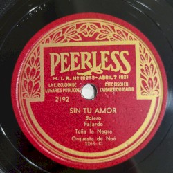 Sin tu amor / Pensando en tí