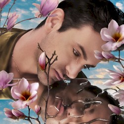 I’m Sorry (Pardonne‐moi)