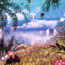 Wonderful Island