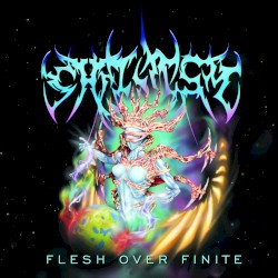 Flesh over Finite
