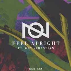 Feel Alright (remixes)