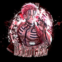 BLOXD CASE