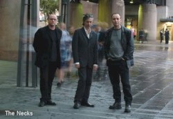 Live at WFMU on Brian Turner’s Show 2/10/2009