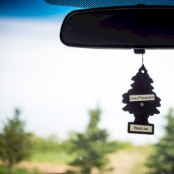 In The Basement With...