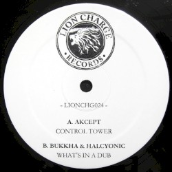 Control Tower / What's In A Dub