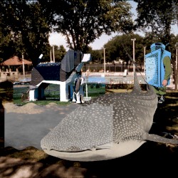 シーケンシャル・ドッグフード