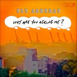 Why Are You Asking Me?