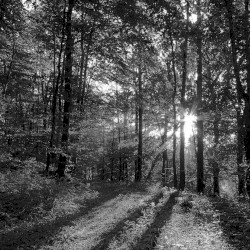 August 2012 to January 2013