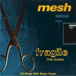 Fragile: The Mixes