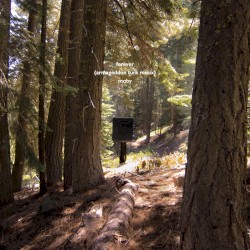 Forever (Armageddon Turk remix)