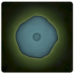 108 Dimensions of Green