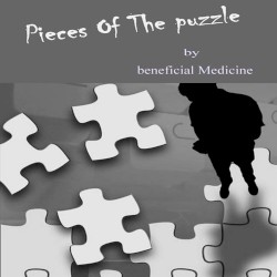 Pieces of the Puzzle