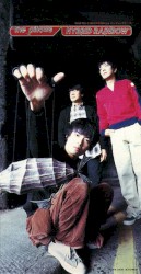 ハイブリッド レインボウ