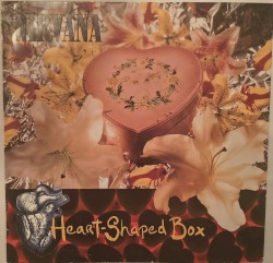 Heart‐Shaped Box
