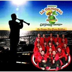 No ocupo oro para brillar