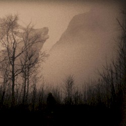 A Gaze Into the Abyss