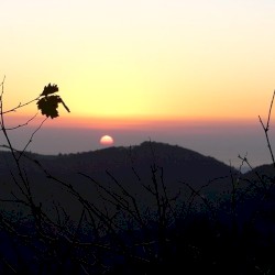 some sad songs i hadnt released yet, or w/e