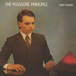 The Pleasure Principle