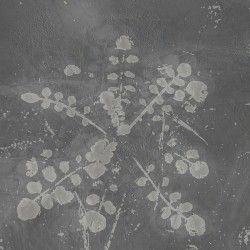 Music For Melted Floors