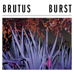 Burst