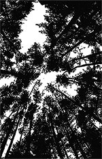 Perceptions of Sightlessness