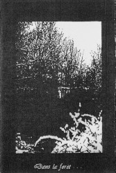 Dans la forêt…