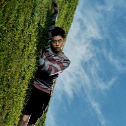 WHERE IS MY HEAD?