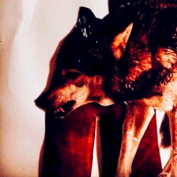 Taking All My Clothes Off