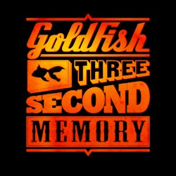 Three Second Memory