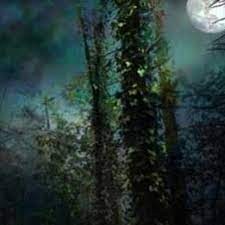 Swampkill777 x Yungboiiimani - JuggStaxkk