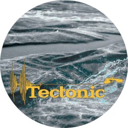 Against the Tide / Trinity