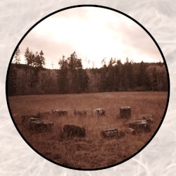 Moonlit Missive #114: 'Black Blossoms'