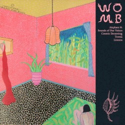 Womb