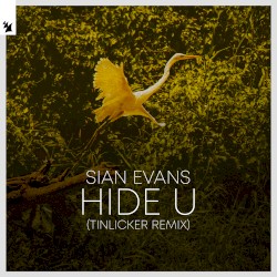 Hide U (Tinlicker remix)