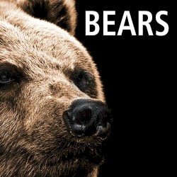 Song About Bears