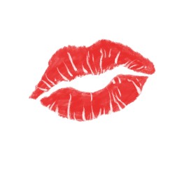 M1 Organ Ein Bpm 142