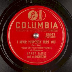 I Never Purposely Hurt You / Flatbush Flanagan