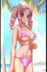 XXXI: Dentō-tekina bikini no yume