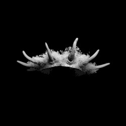 Feel Nothing (Reset)