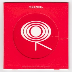 Selections From Bruce Springsteen With the Sessions Band – Live in Dublin