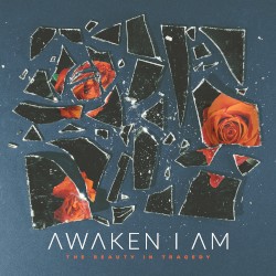 The Beauty in Tragedy