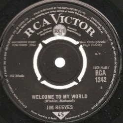 Welcome to My World / My Juanita