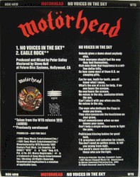 No Voices in the Sky