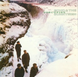 Porcupine