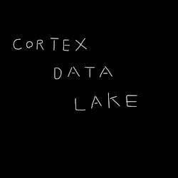 CORTEX DATA LAKE