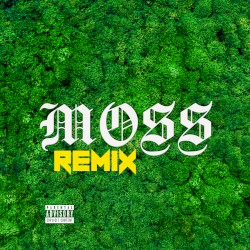 Moss (Remix)