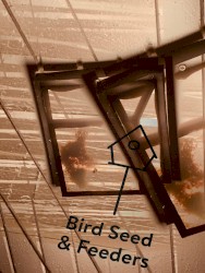 Freeroam 116 :: buglitew