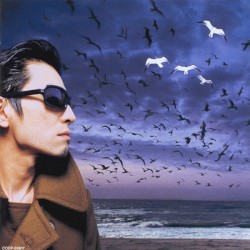 Rodeo Tandem Beat Specter