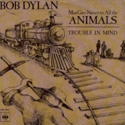Man Gave Names to All the Animals