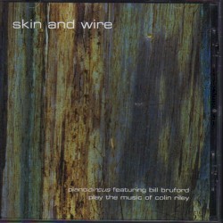skin and wire : pianocircus featuring Bill Bruford play the music of colin riley